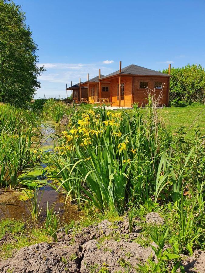 Camping De Oude Rijn Ter Aar Dış mekan fotoğraf